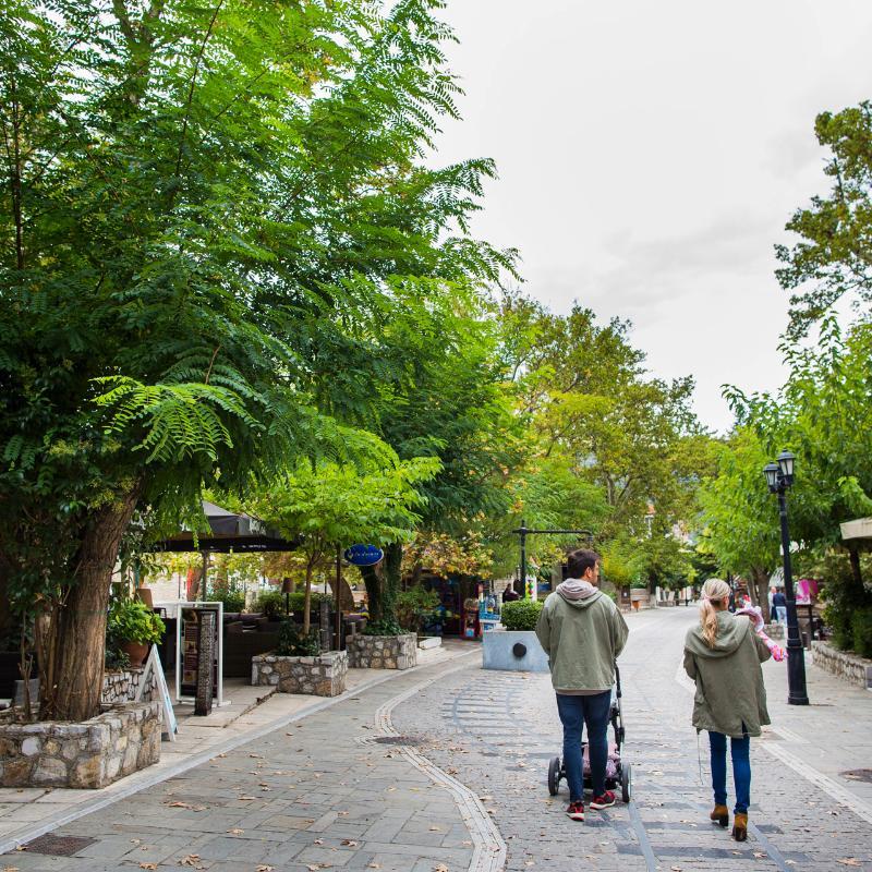 Kalavrita Canyon Hotel & Spa 외부 사진